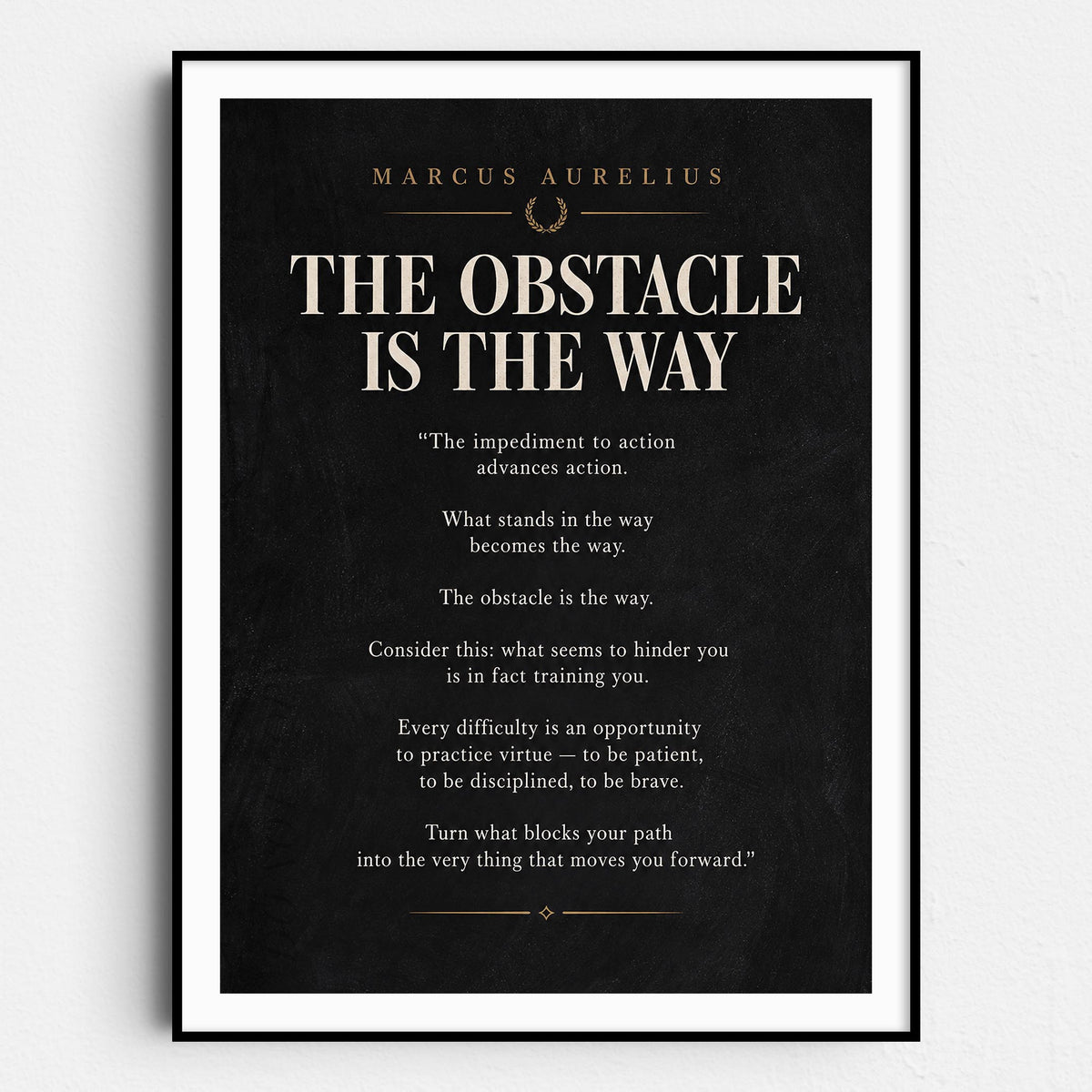 The Obstacle Is The Way - Marcus Aurelius