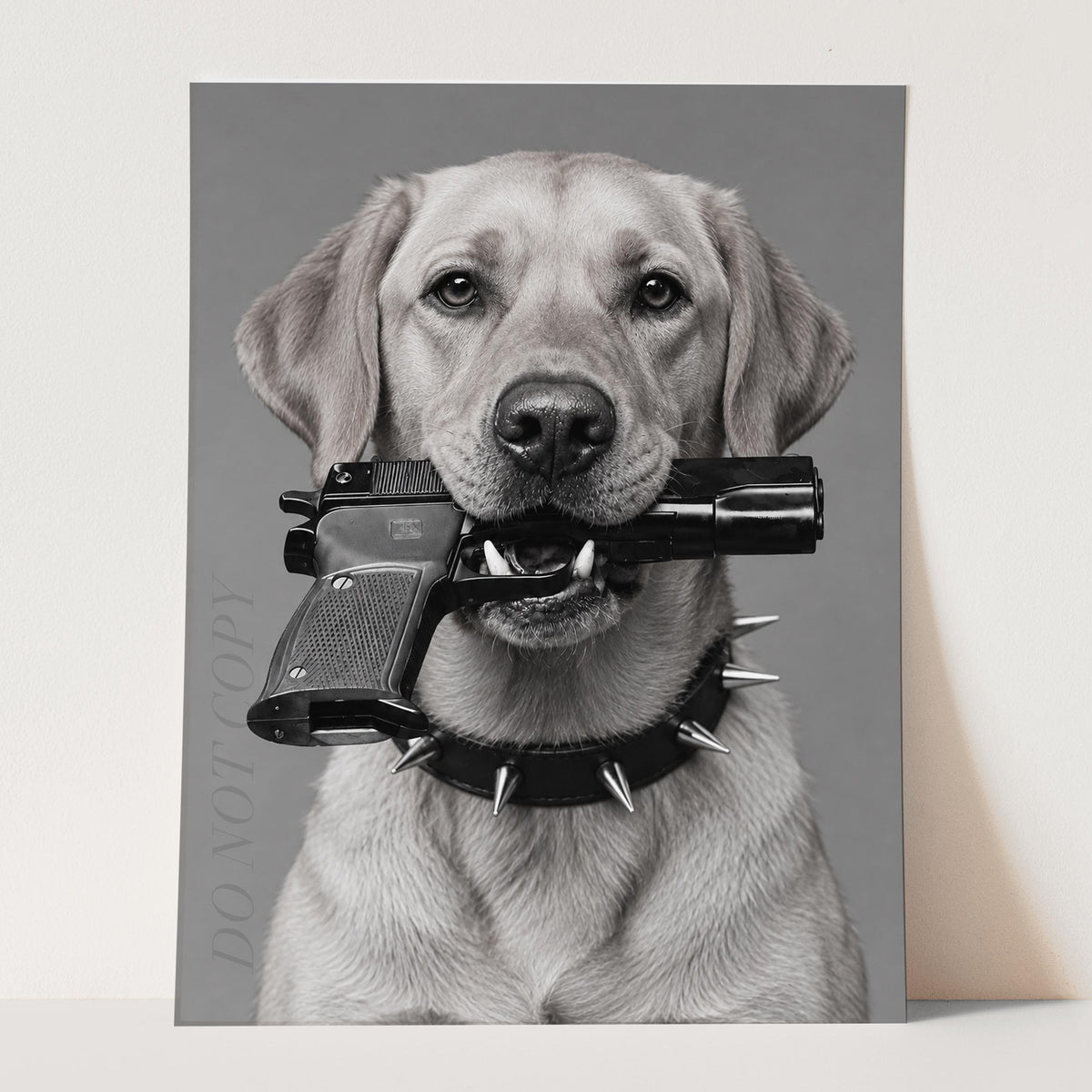 Yellow Labrador Gun In Mouth