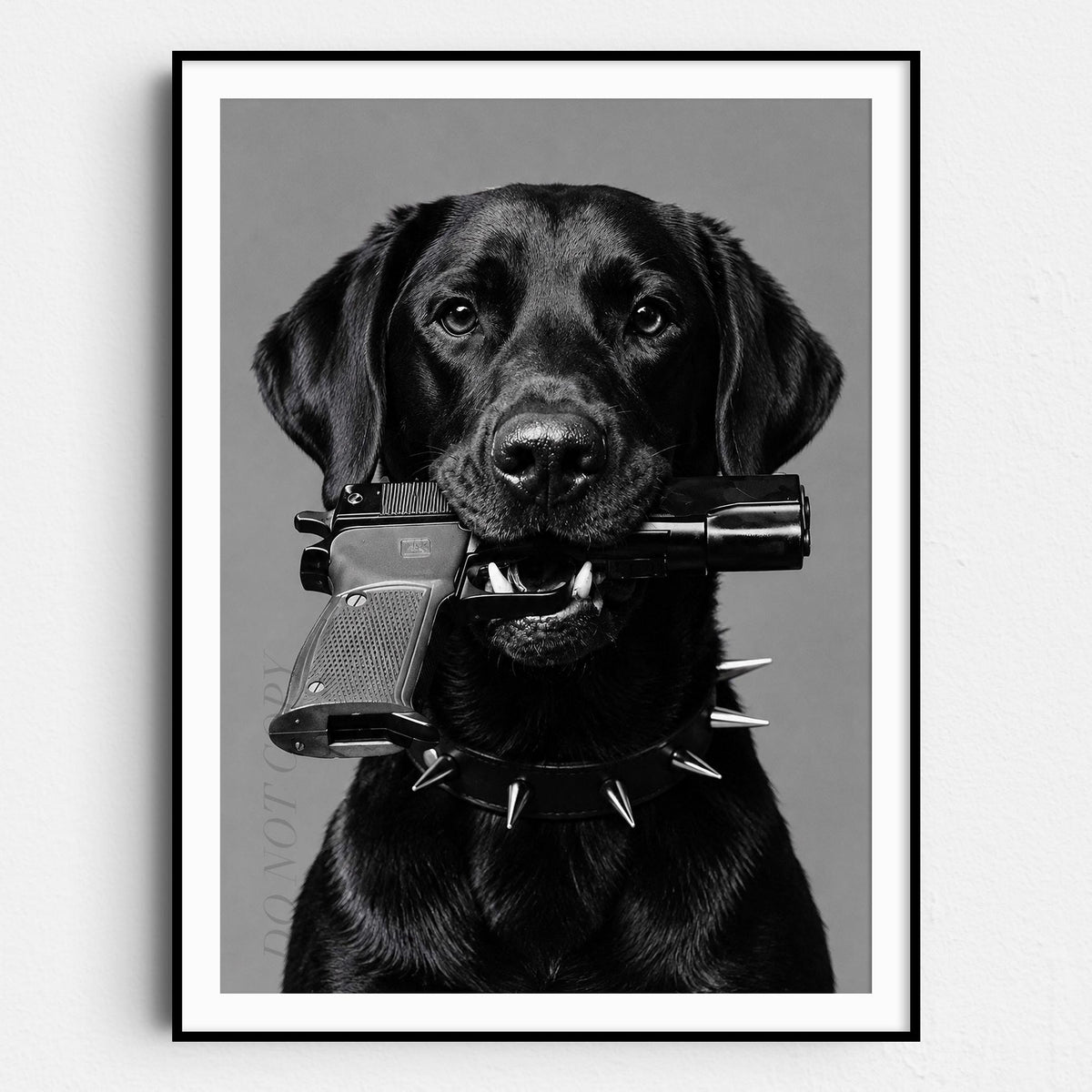 Black Labrador Gun In Mouth