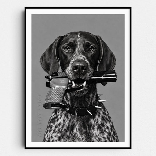 German Shorthaired Pointer Gun In Mouth