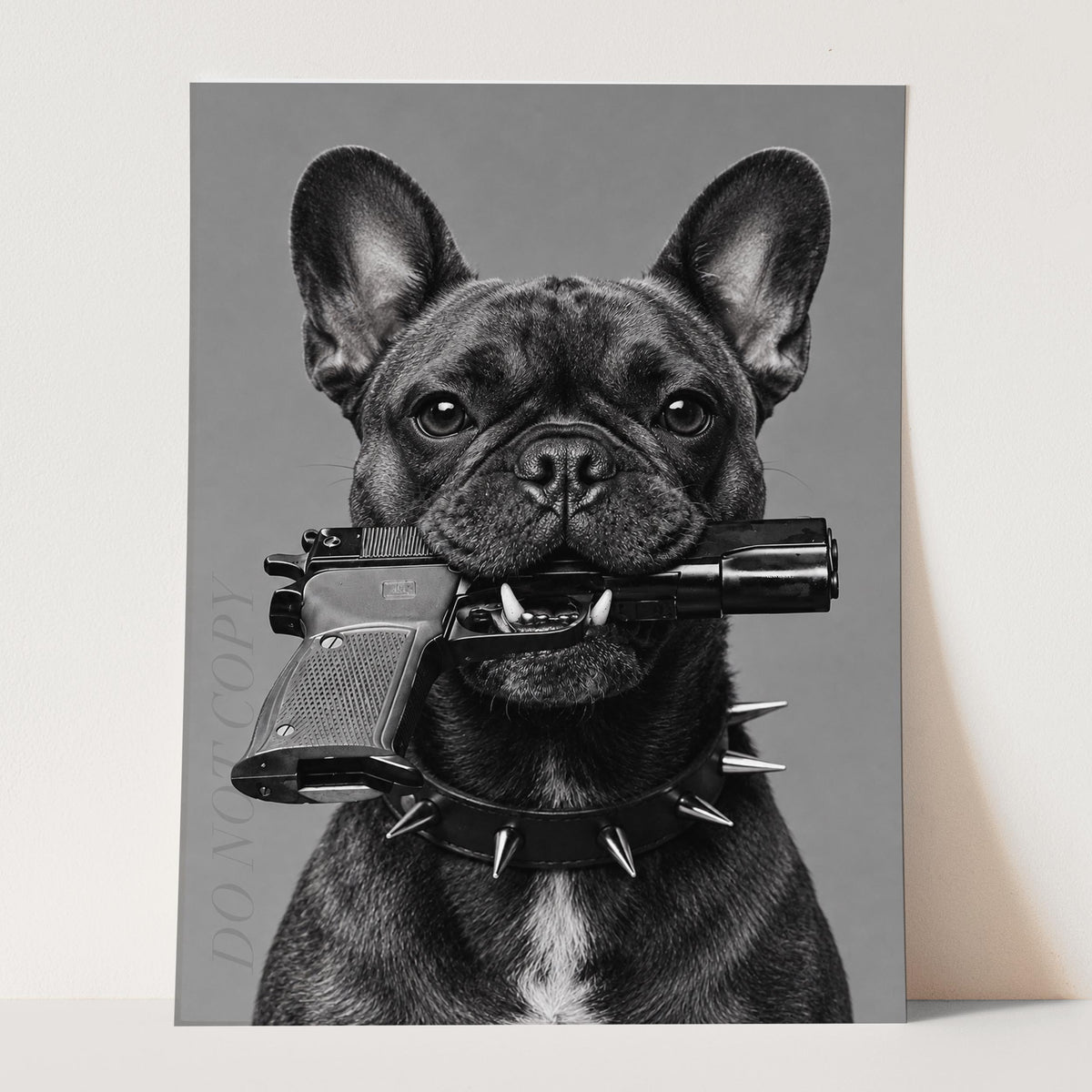 French Bulldog Gun In Mouth