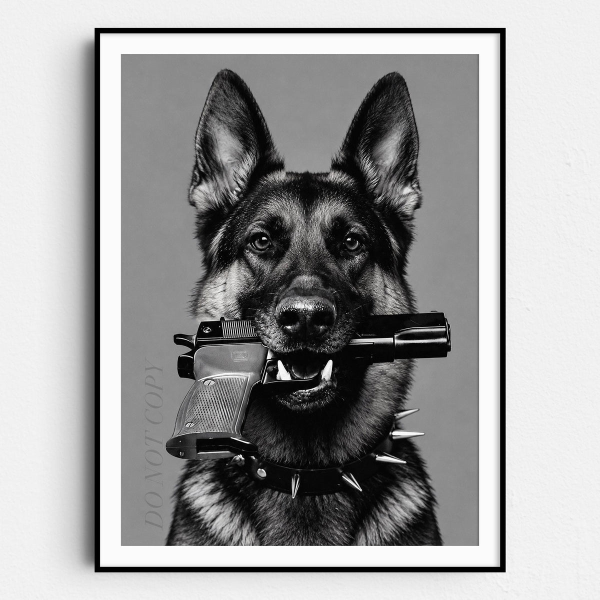 German Shepherd Gun In Mouth