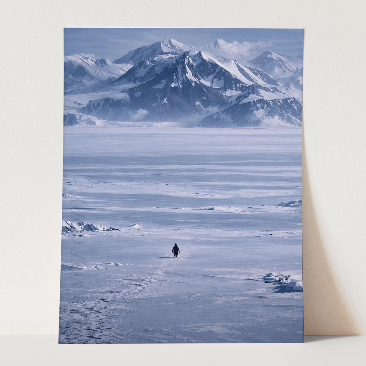 The Lone Penguin