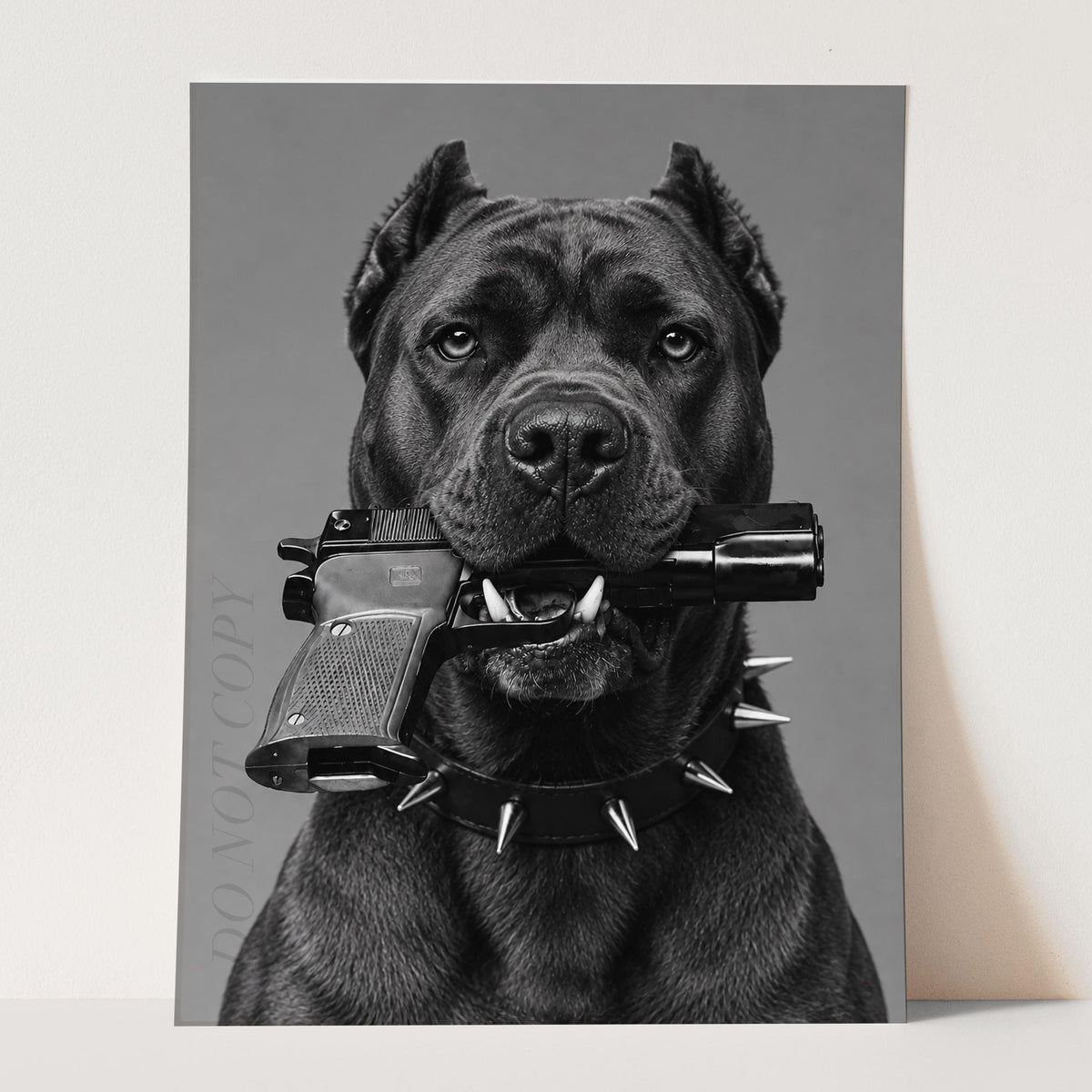 Cane Corso Gun In Mouth