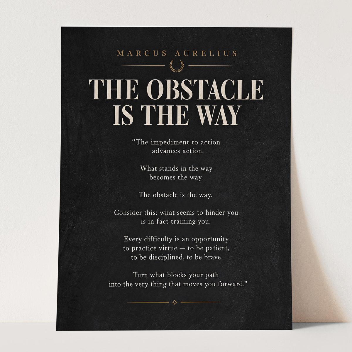 The Obstacle Is The Way - Marcus Aurelius