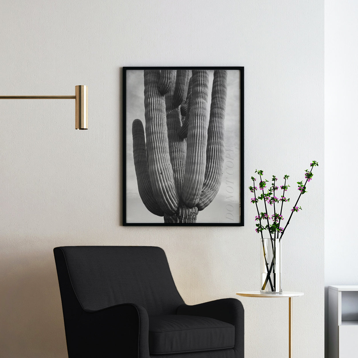 Ansel Adams Desert Cactus