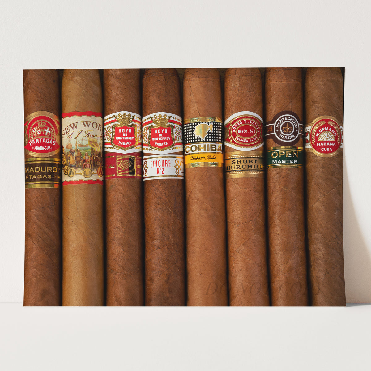 Cigar Collection