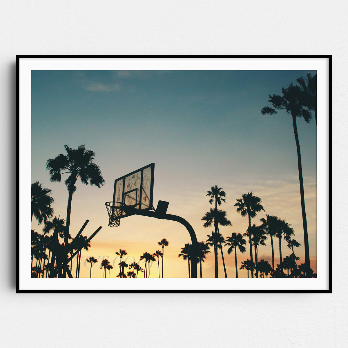 Basketball Sunset Palm Trees