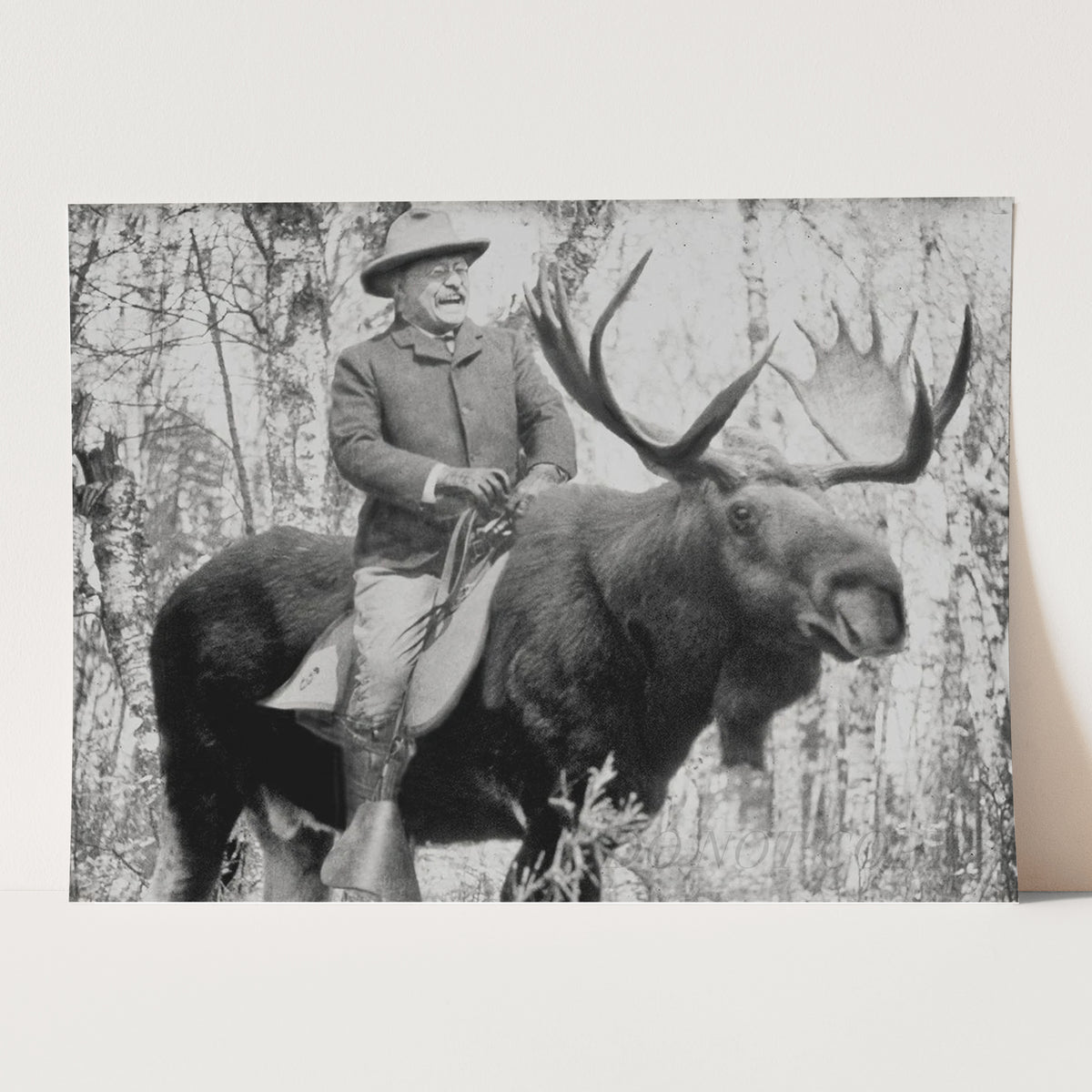 Teddy Roosevelt Riding A Moose II
