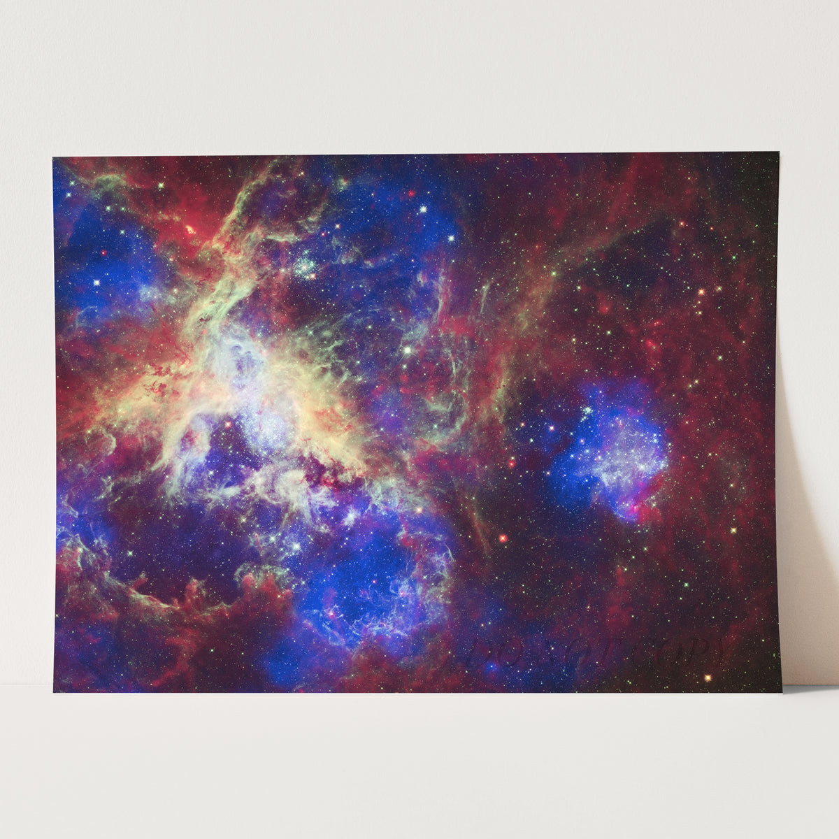 Tarantula Nebula (Spitzer Space Observatory)