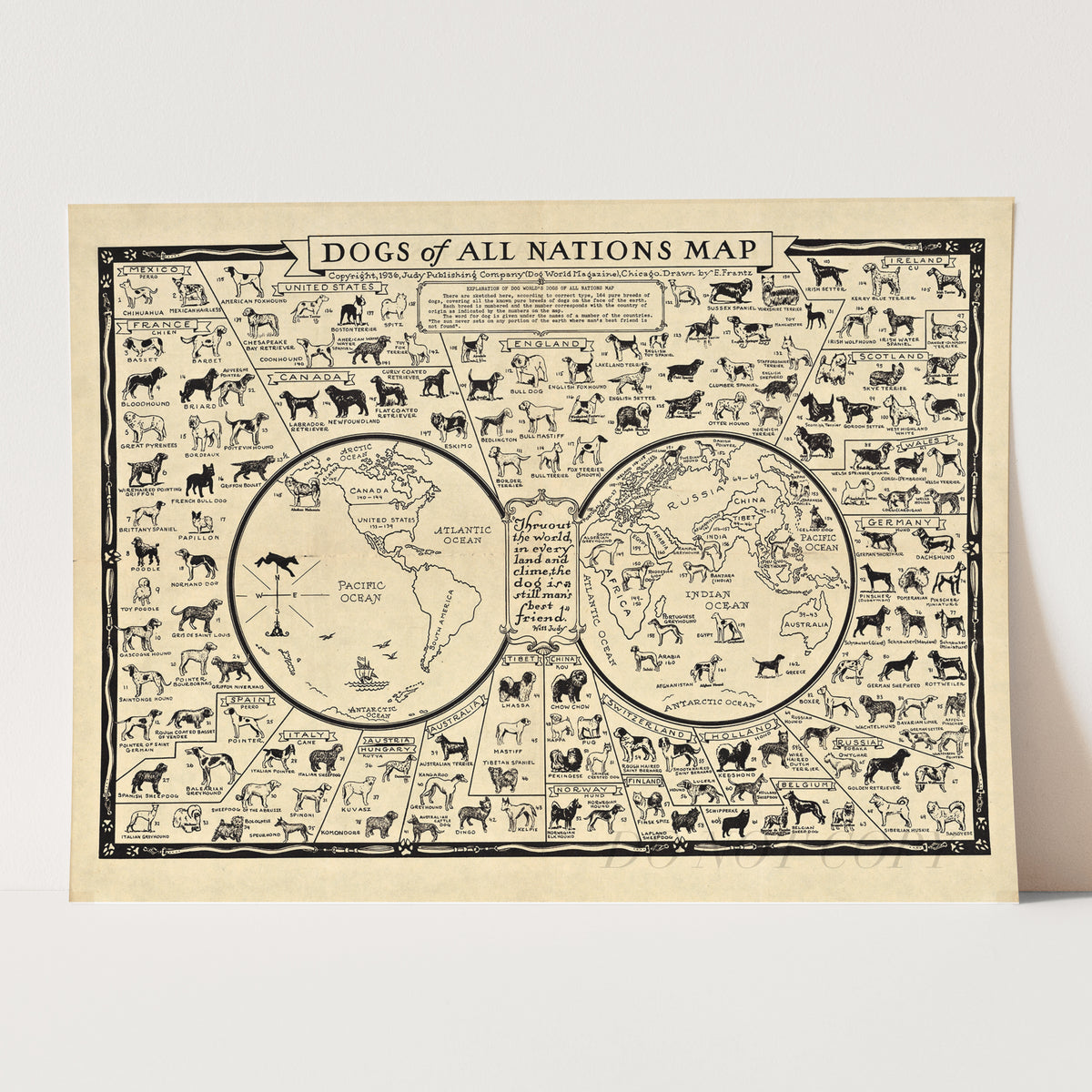 Dog Breeds of the World, 1935 Dogs of All Nations Map