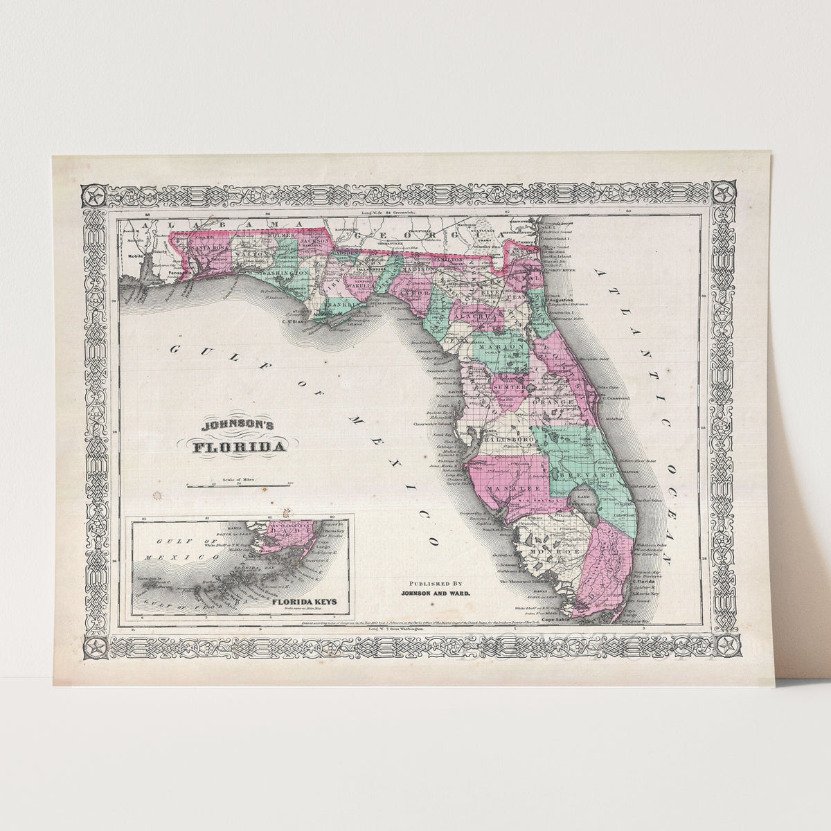 Map of Florida 1866