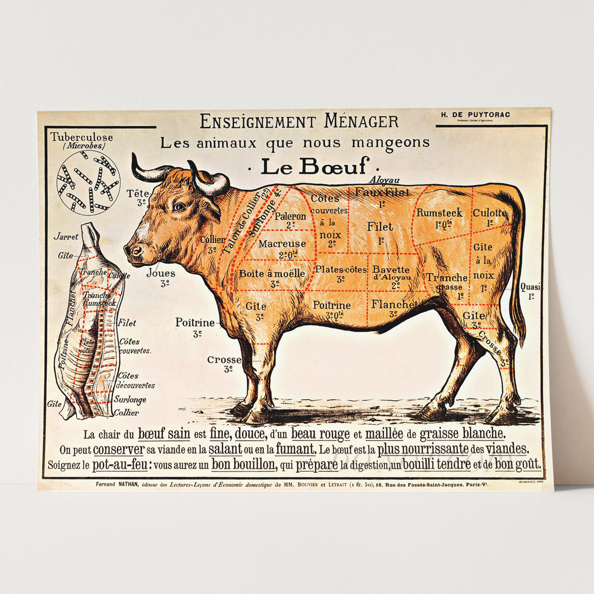 French School - Beef Diagram