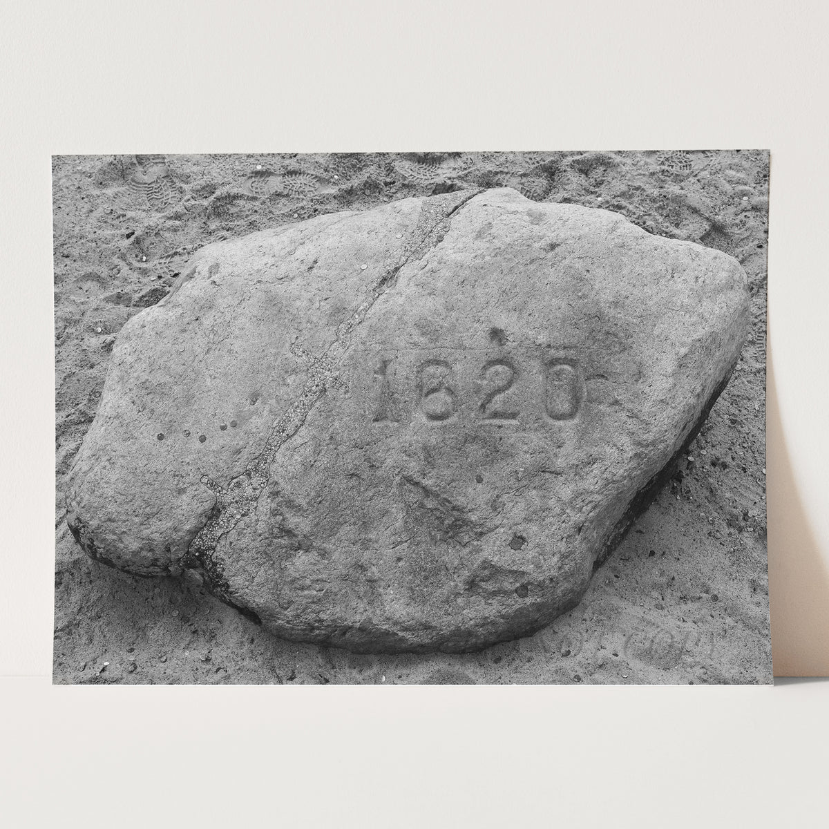Plymouth Rock