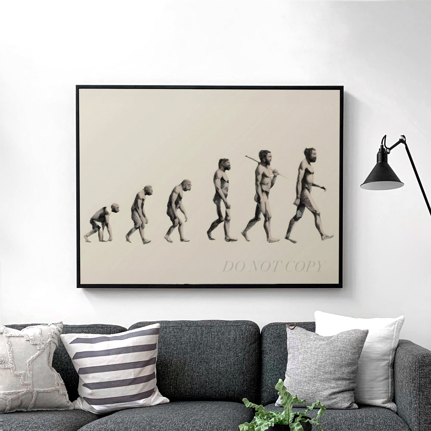 Progress of Human Evolution