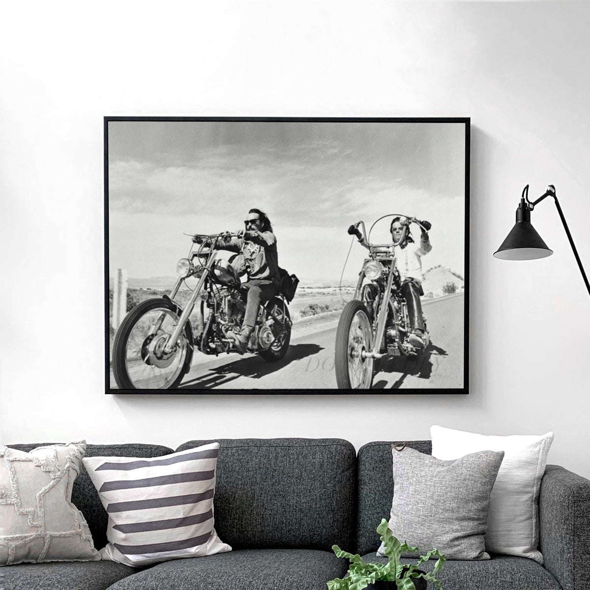 Easy Rider