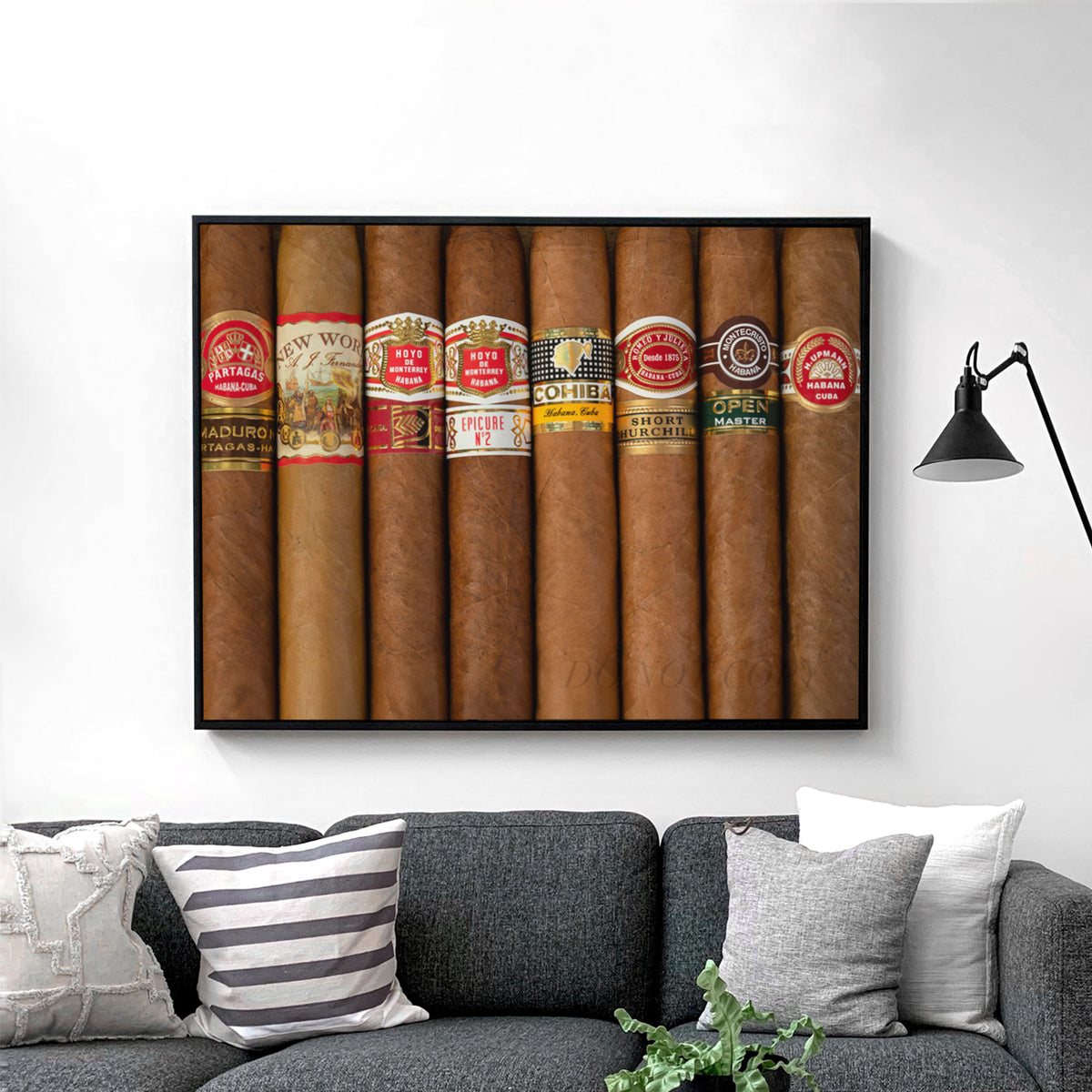 Cigar Collection