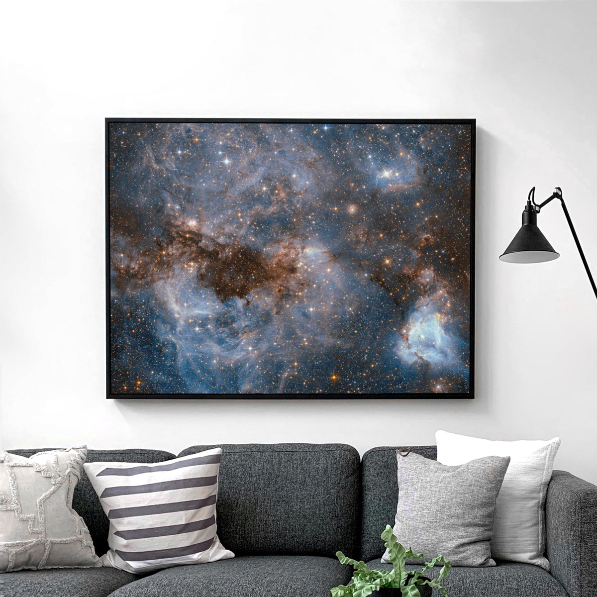 Maelstrom Of Glowing Gas And Dark Dust, Papillon Nebula, N159 NASA