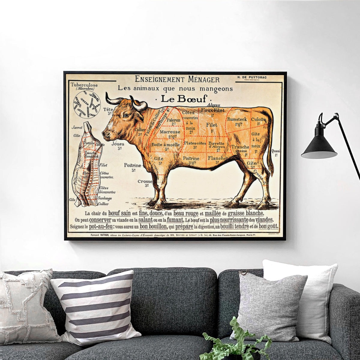 French School - Beef Diagram