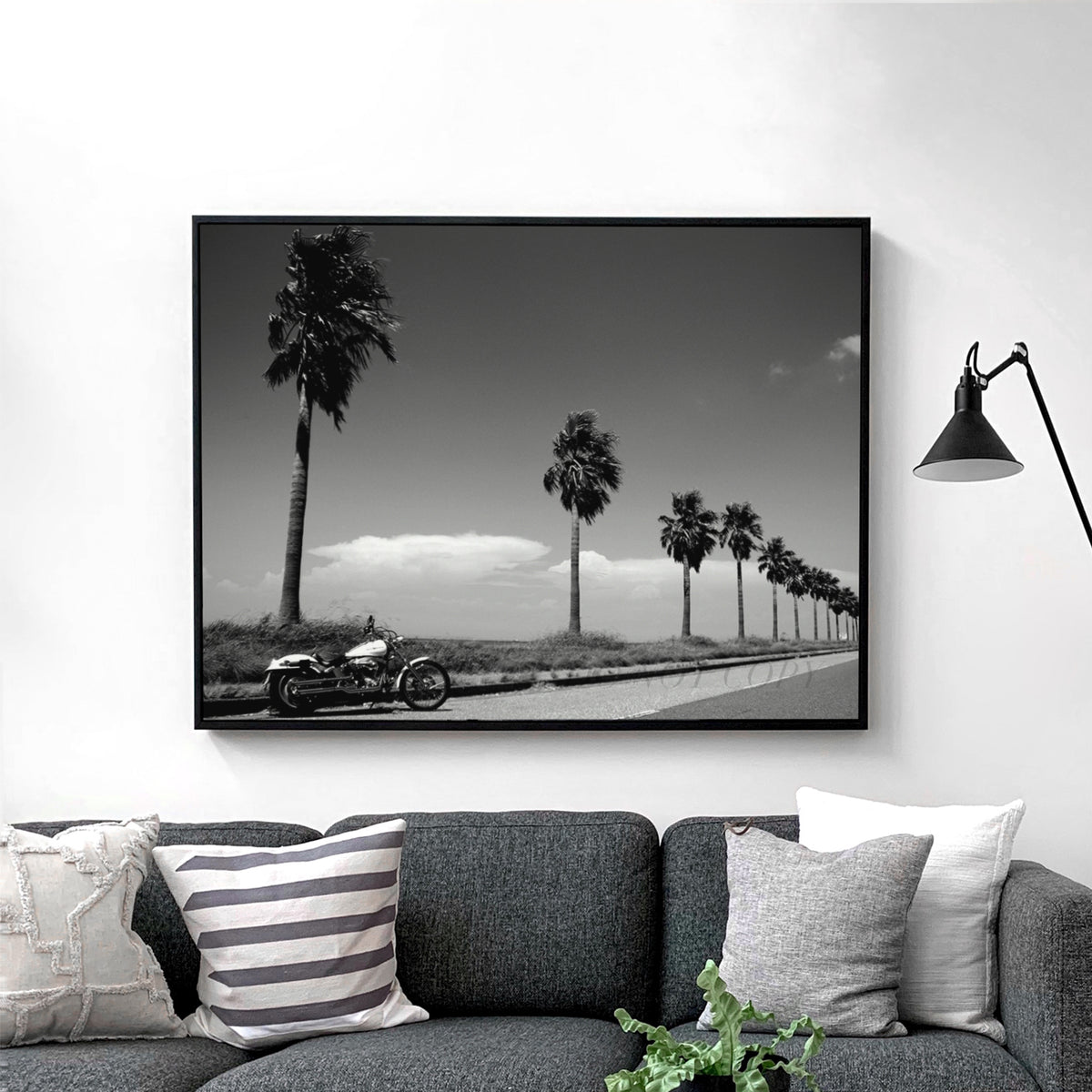 Harley Davidson Motorcycle By Beach & Palm Trees
