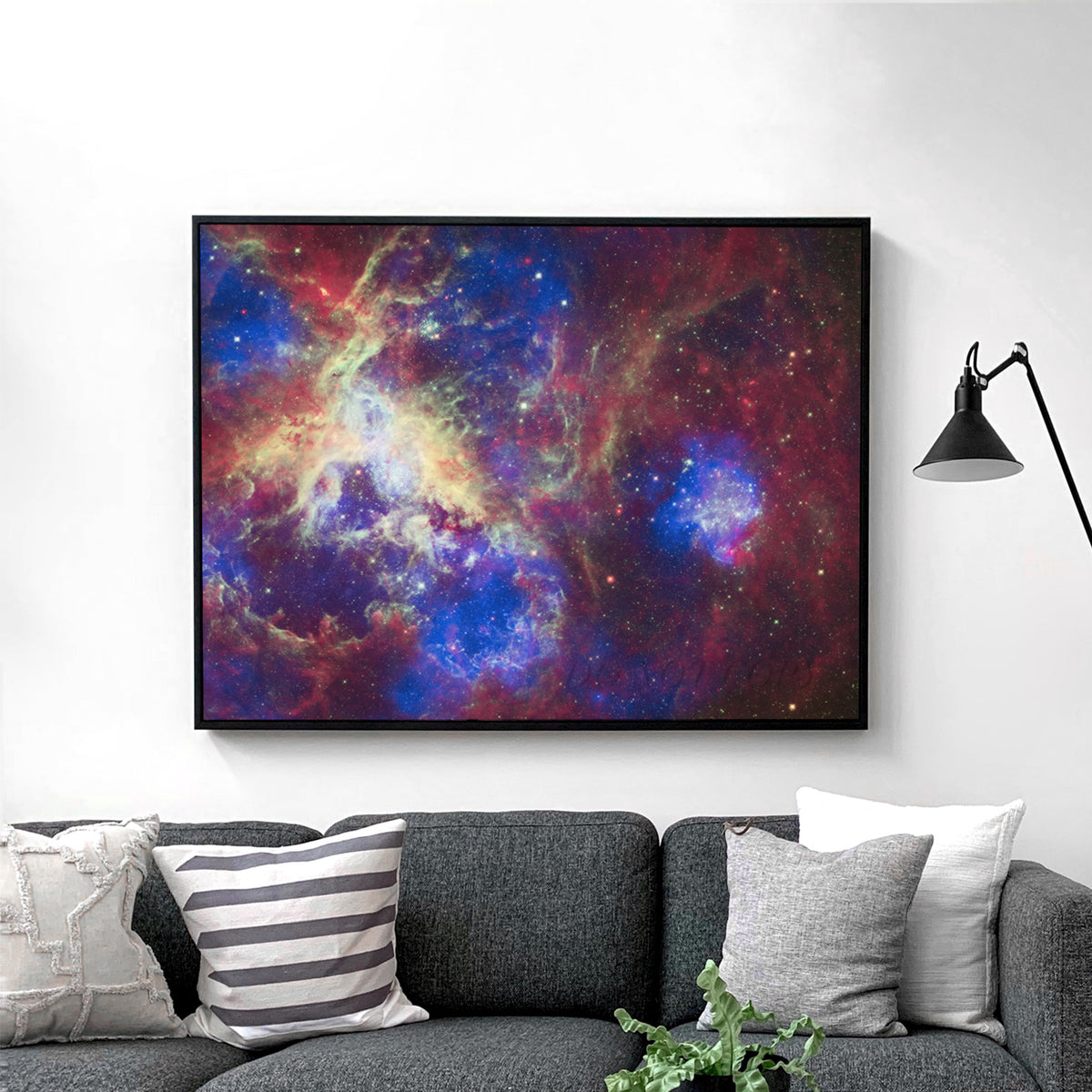 Tarantula Nebula (Spitzer Space Observatory)