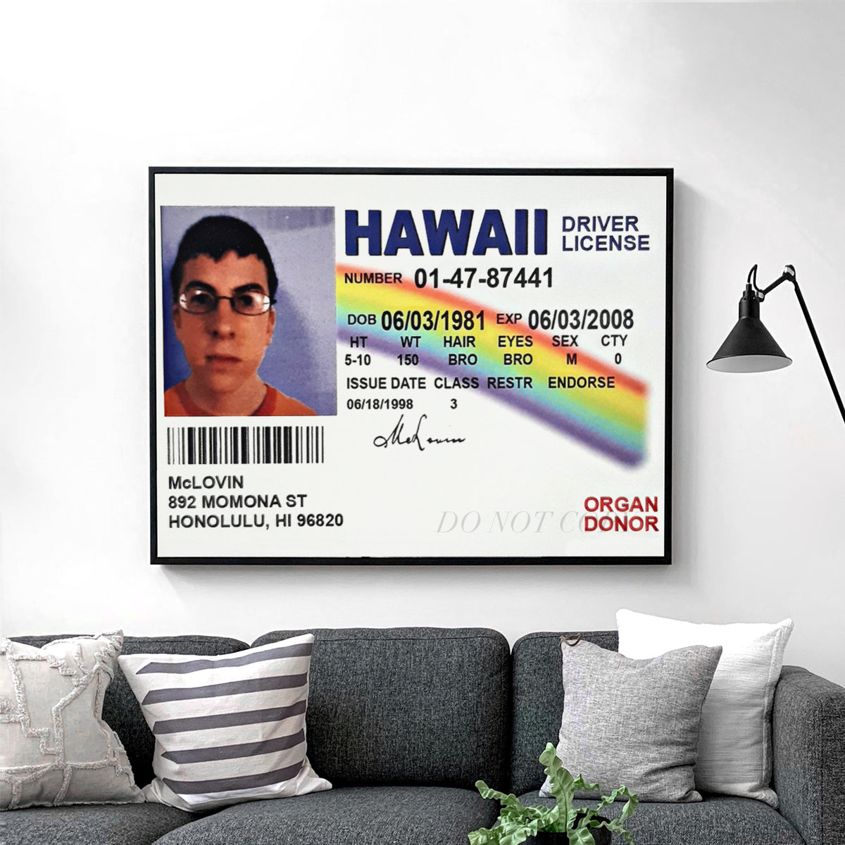 McLovin - Fogell Fake ID