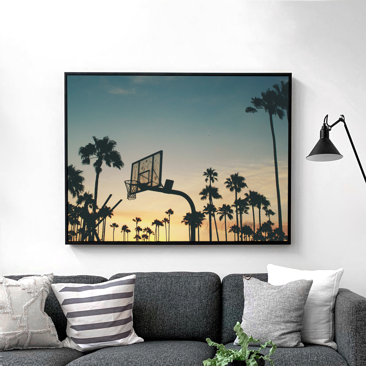Basketball Sunset Palm Trees