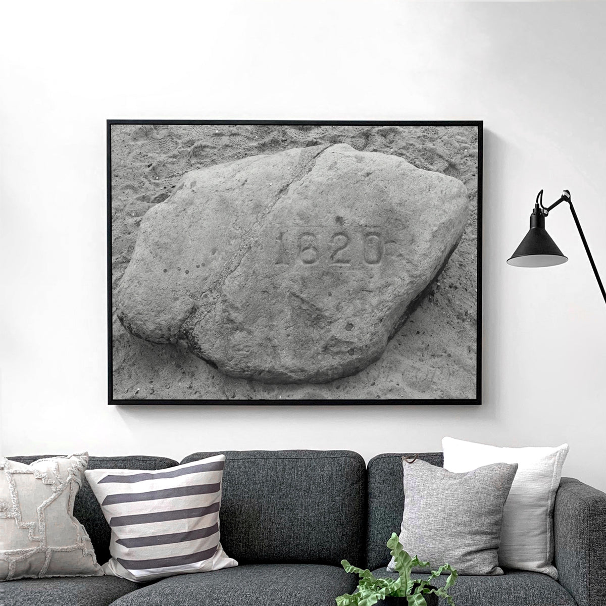 Plymouth Rock