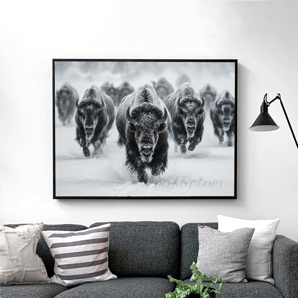 Yellowstone Bison