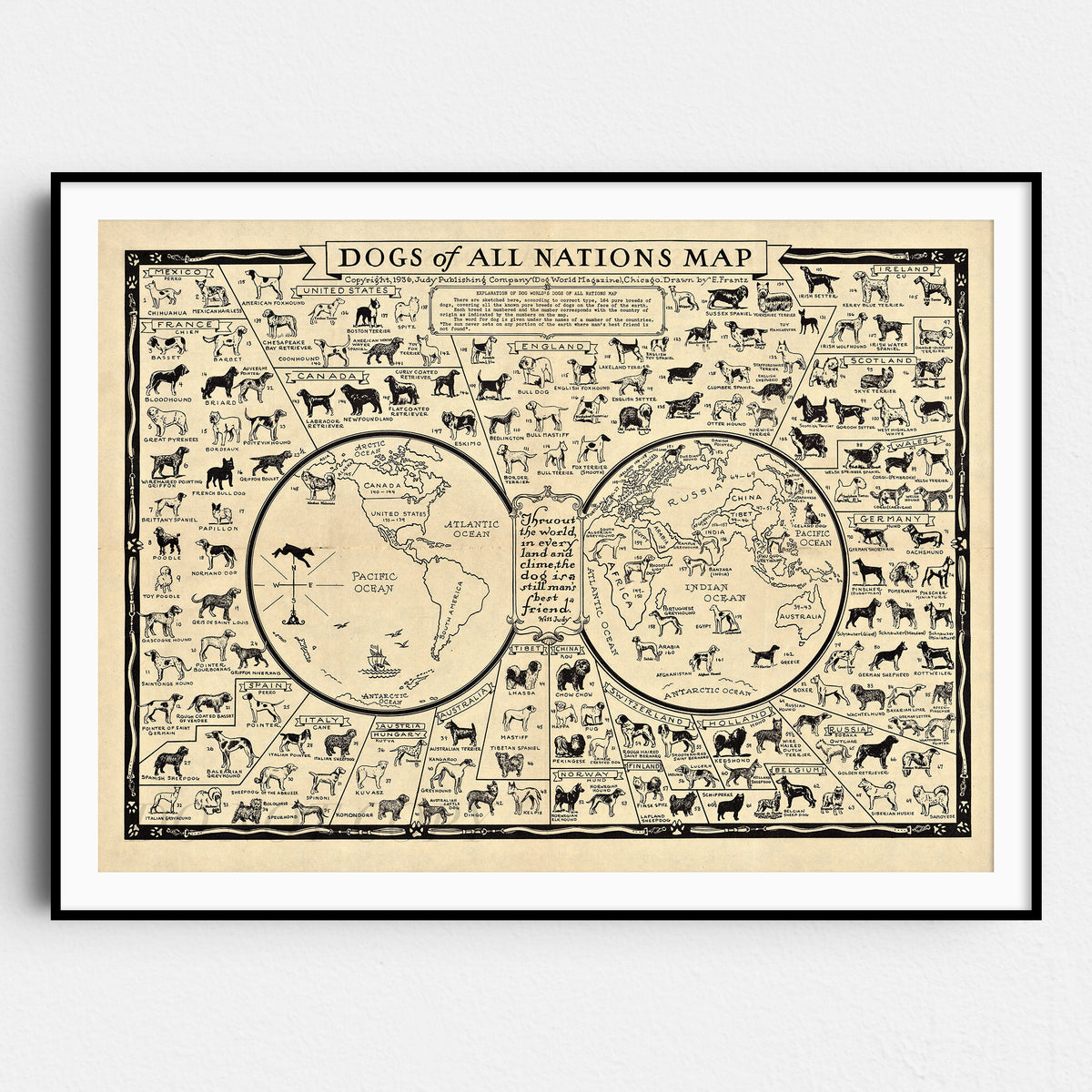 Dog Breeds of the World, 1935 Dogs of All Nations Map