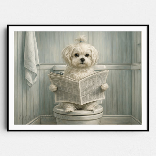 Maltese Dog Reading The Newspaper On The Toilet