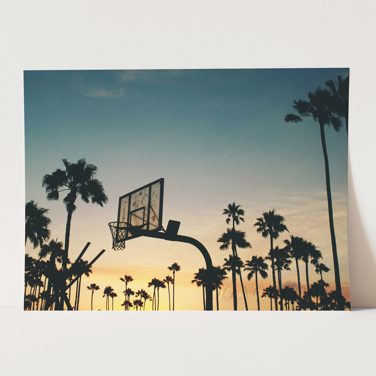 Basketball Sunset Palm Trees