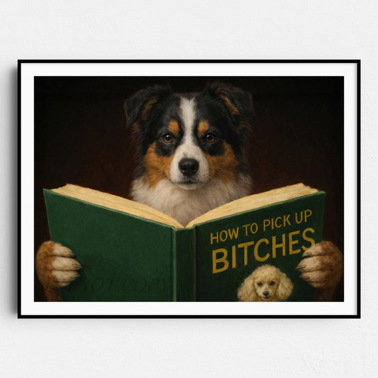 Miniature American Shepherd Reading Dog Dating Book