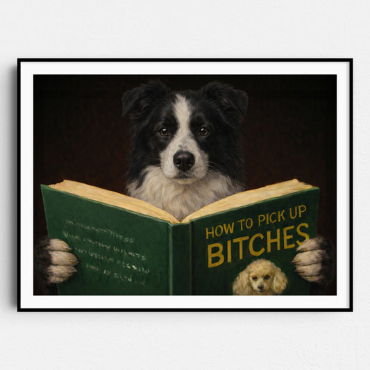 Border Collie Dog Reading Dating Book