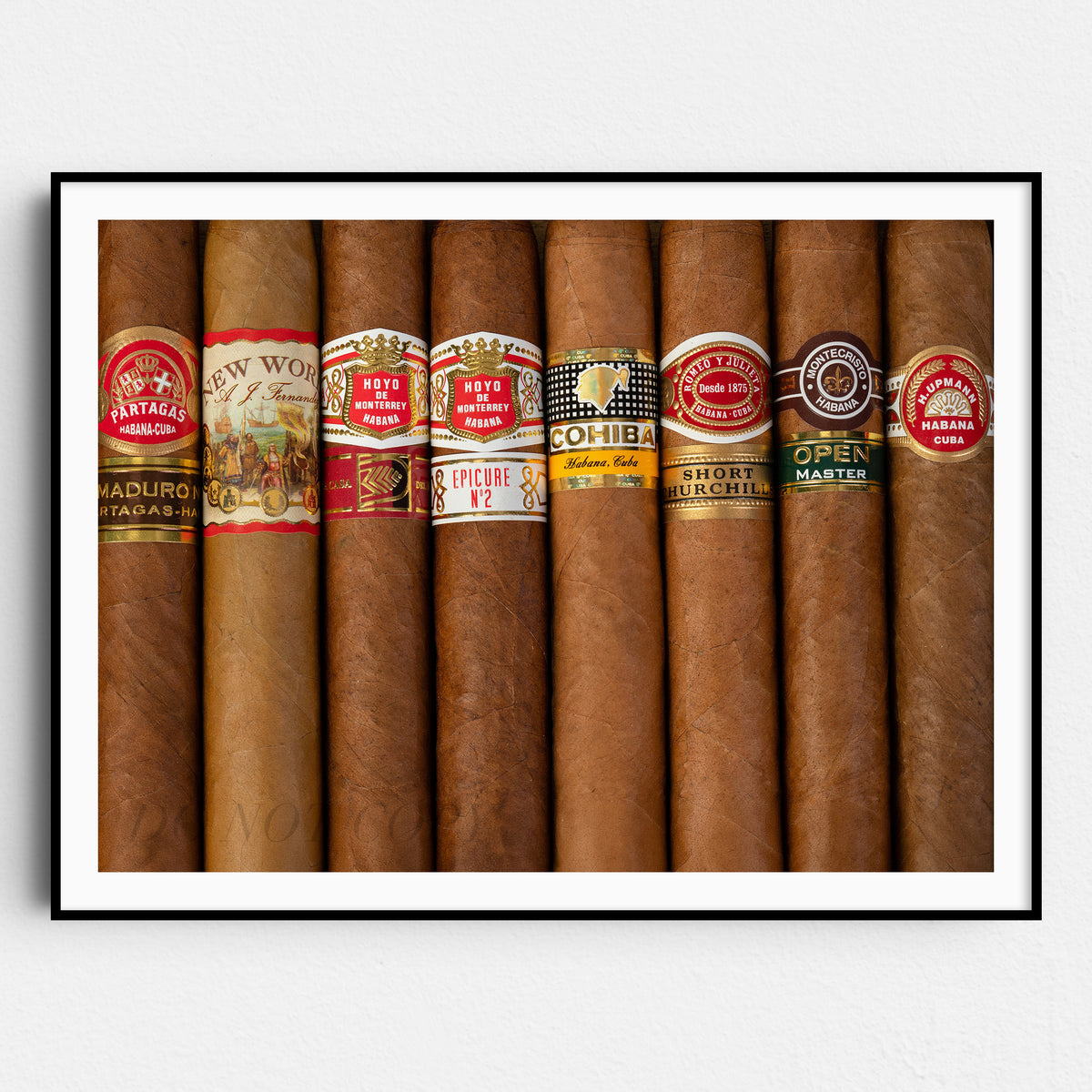 Cigar Collection