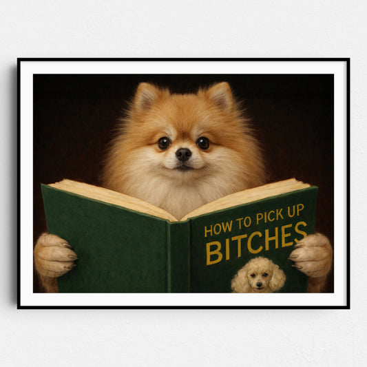 Pomeranian Reading Dog Dating Book
