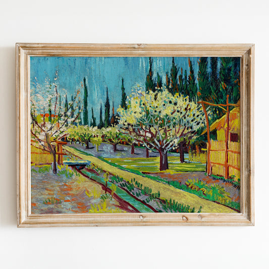 Orchard Bordered by Cypresses (1888) by Van Gogh