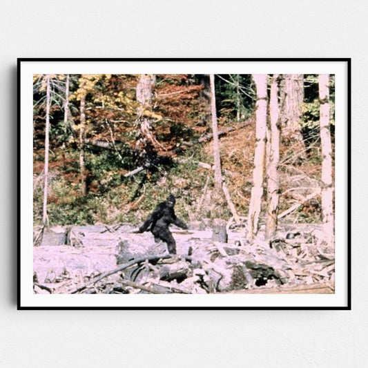 Bigfoot