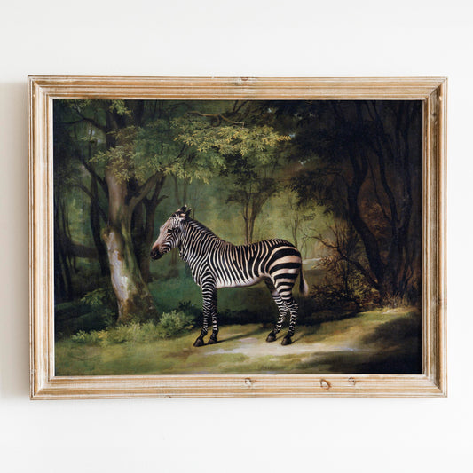 Zebra 1763 George Stubbs