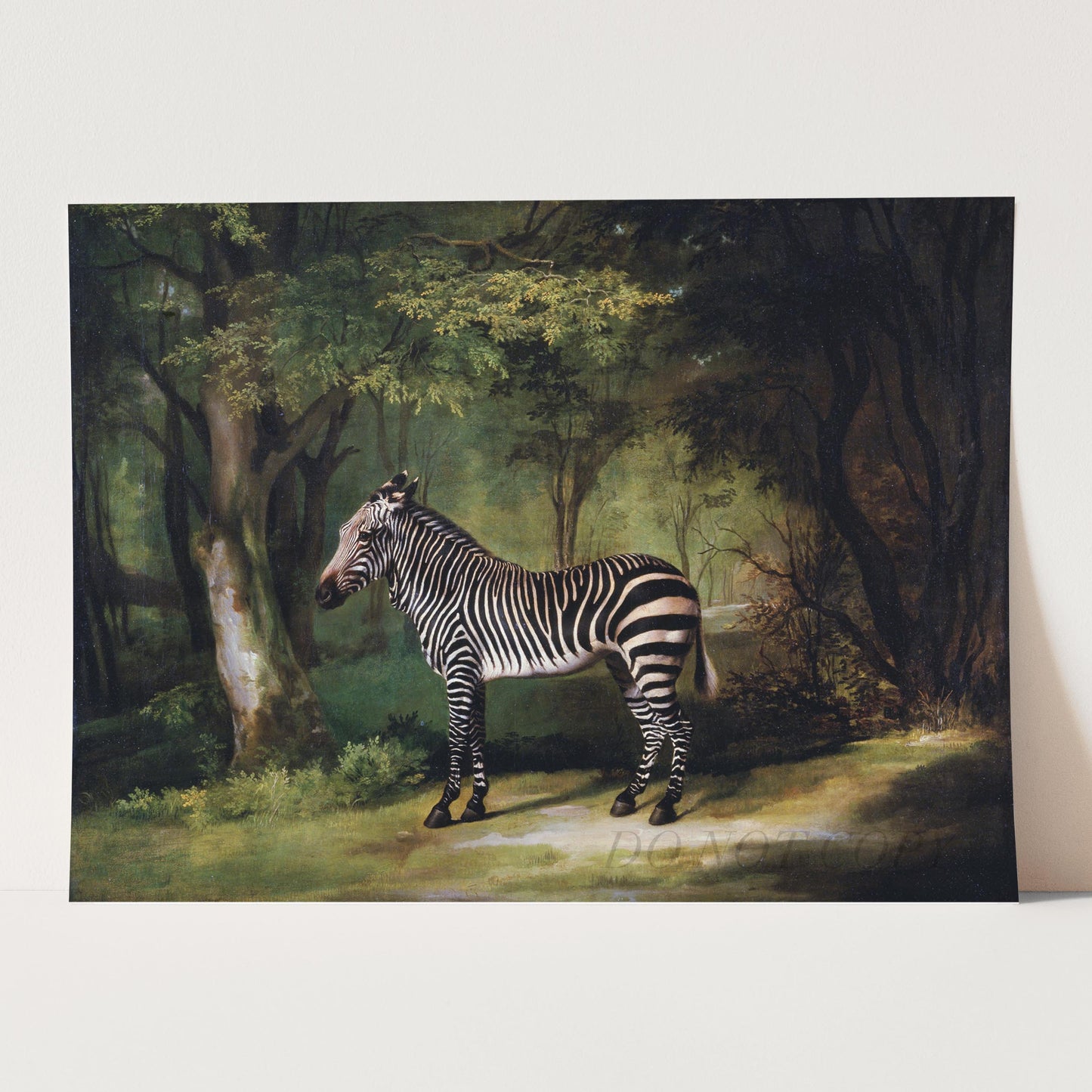 Zebra 1763 George Stubbs
