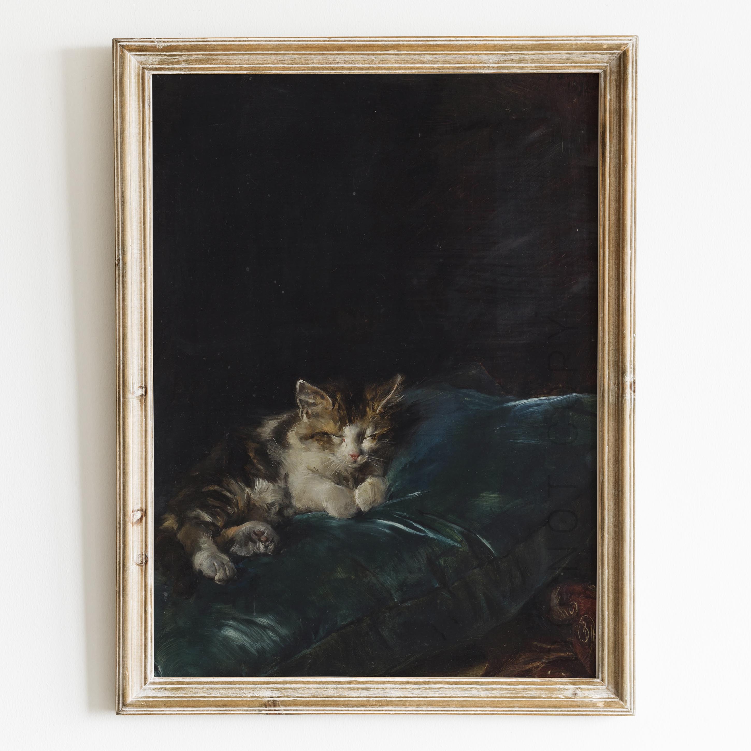 Cat Sleeping On A Cushion Domingo Marqués Wall Art Poster Prints