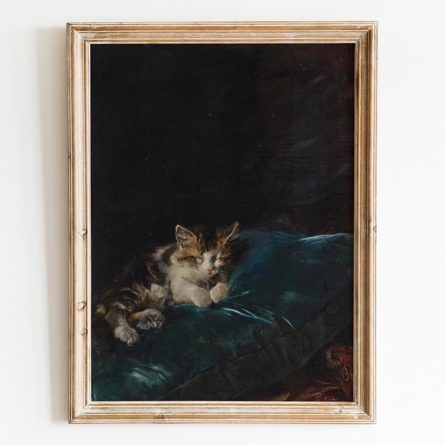 Cat Sleeping On A Cushion, 1892 by Francisco Domingo Marqués