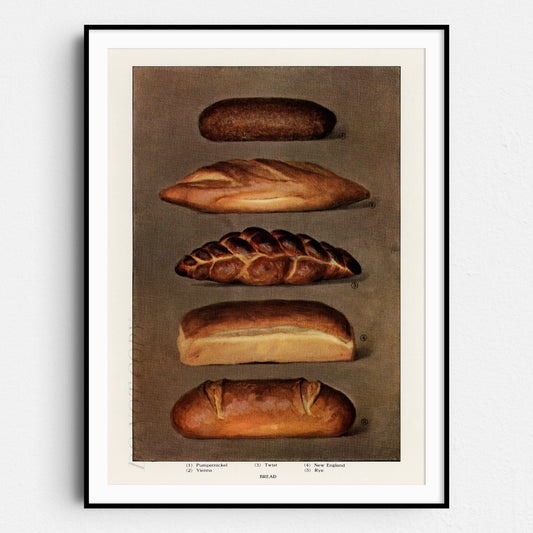 Baked Bread Loaves - The Grocer's Encyclopedia (1911)
