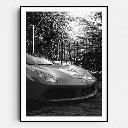 Black & White Ferrari in a Garden