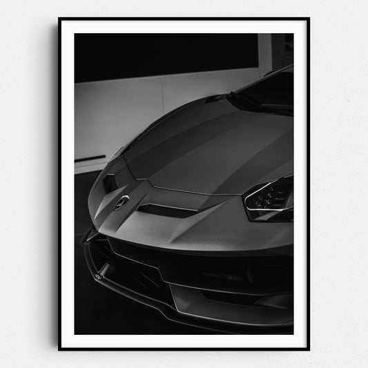 Black & White Lamborghini Front View