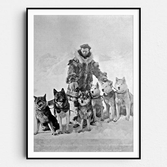 Balto Siberian Husky Dog - Togo Leonhard Seppala With Dogs