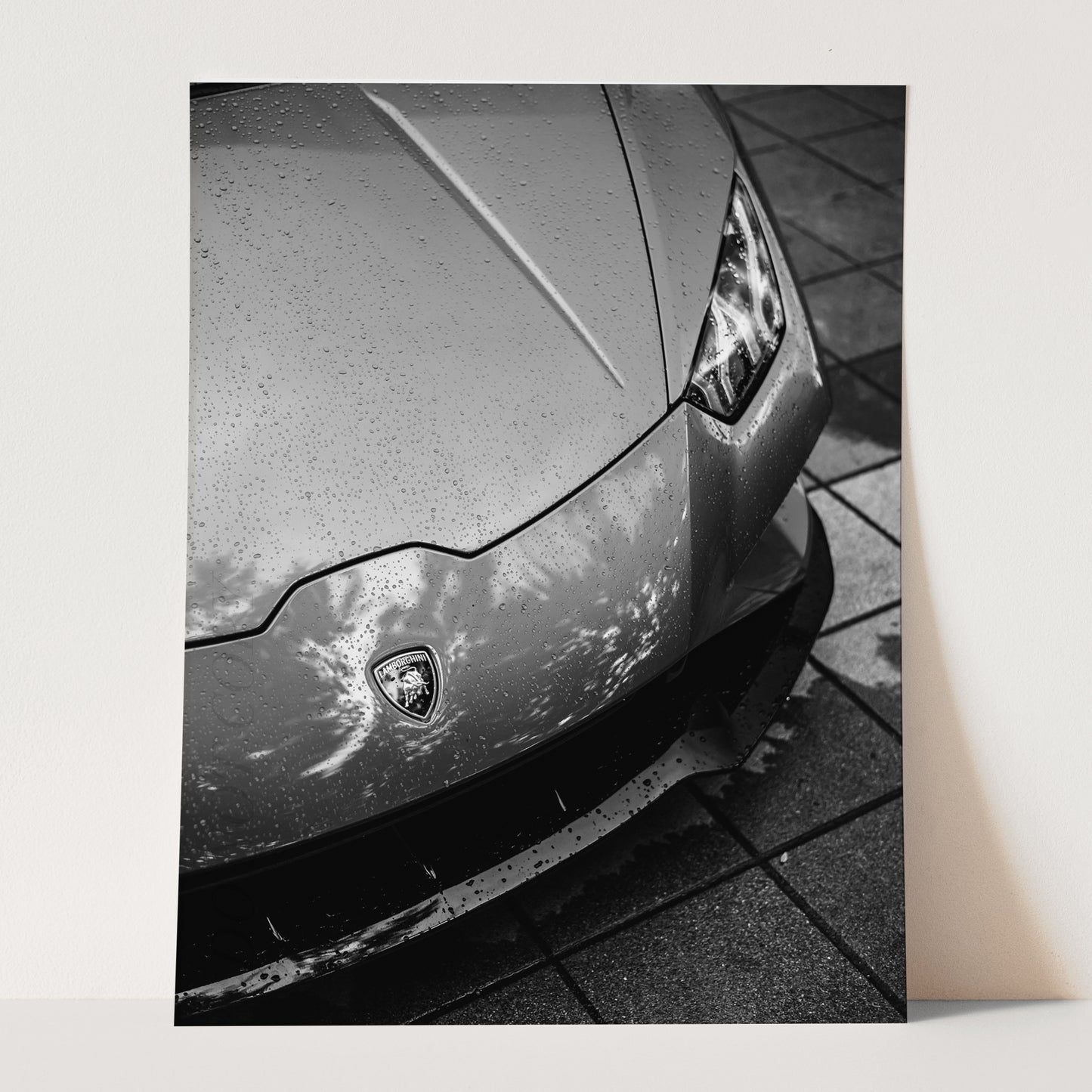 Black and White Lamborghini Close Up