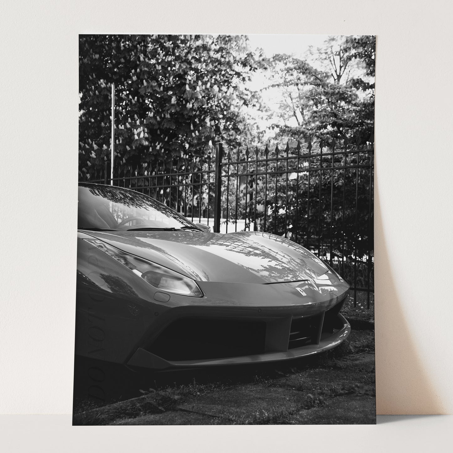 Black & White Ferrari in a Garden