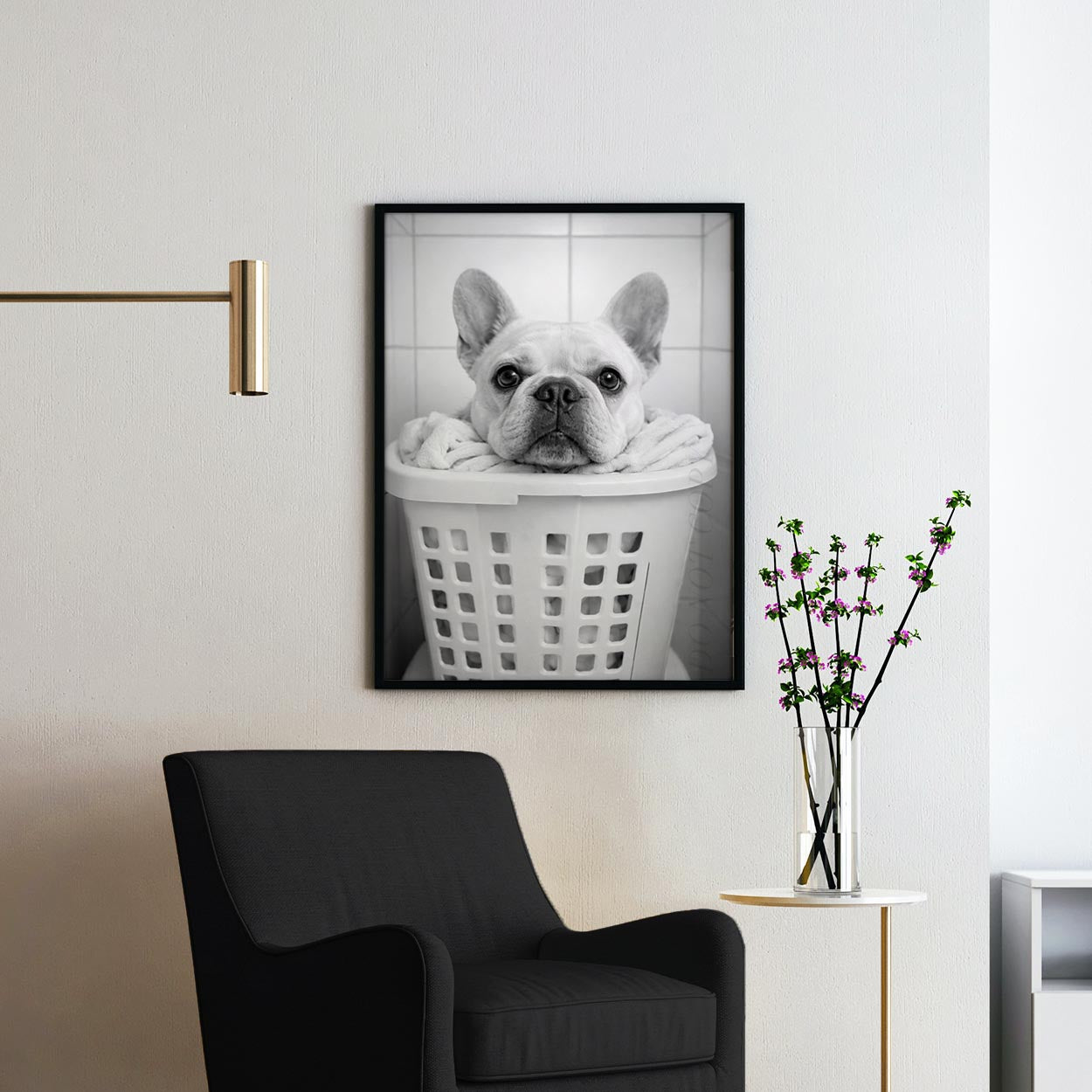 French Bulldog Laundry