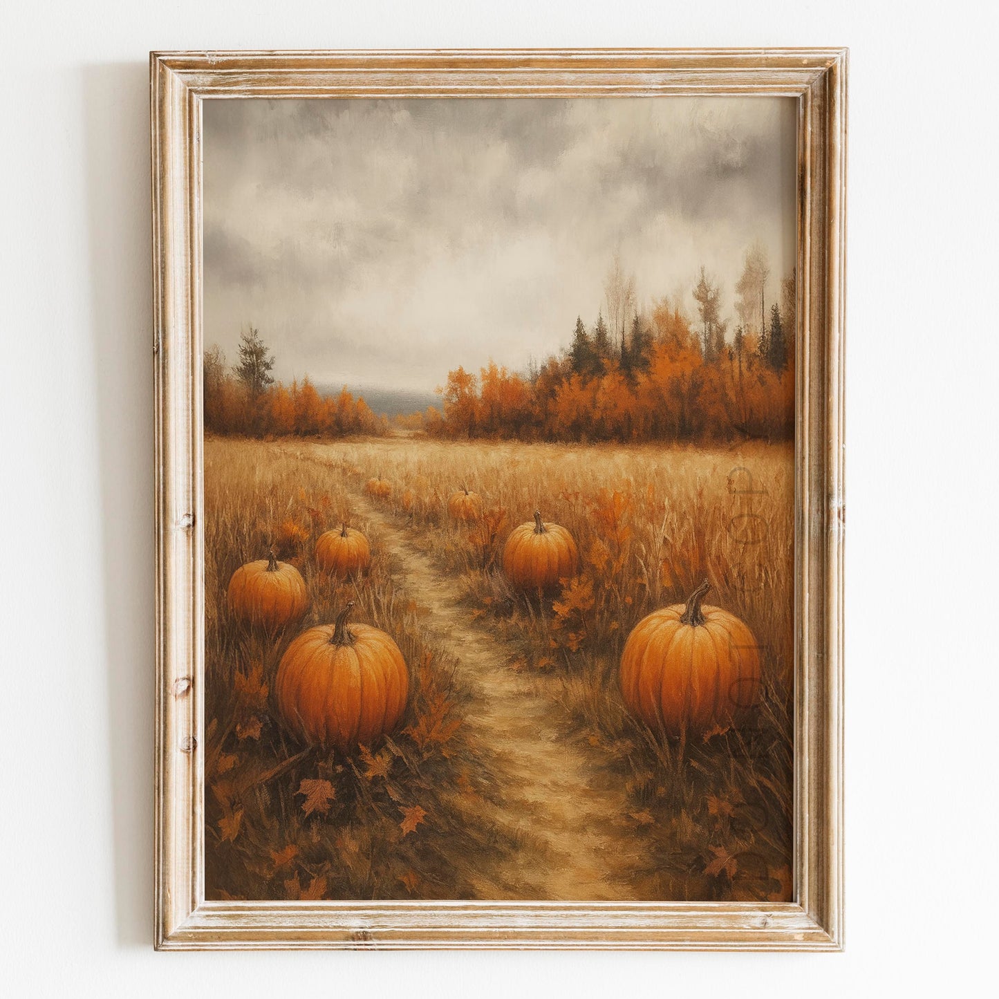 Pumpkin Patch In Autumn Field